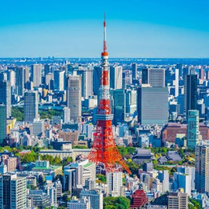  [도쿄] [입국 후 바로 여행] 단독 도쿄 반나절 투어 (공항 픽업 & 호텔 드롭) 반대도 가능!!