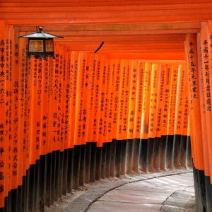 [오사카]오사카 출발 교토 5스팟 1일 버스투어 최소 인원 1명