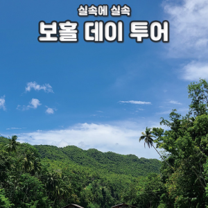 [보홀] 실속에실속 육상데이 투어