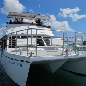 괌 오리지널 돌핀크루즈 by 스타호