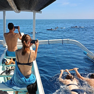 발리 로비나 돌핀 워칭 & 수영