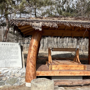  [중국][용정 데이투어] 연길 출발 ㅡ용정일일투어 * 윤동주 생가*온천*일송정*