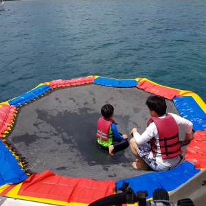 [괌] 스쿠버 컴퍼니 돌핀 크루즈