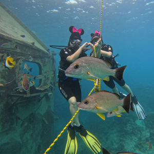 [괌] 피쉬아이체험 체험스쿠버다이빙
