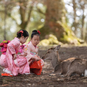 [교토]교토 기모노 대여 체험, 럭셔리 수제 실크 후리소데 