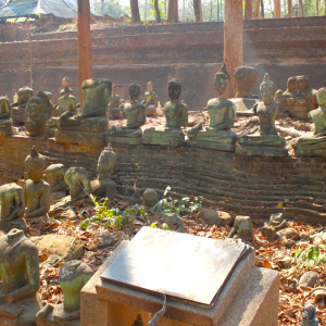 (한국어가이드) 치앙마이 왓우몽 사원 + 도이수텝 사원 단독 투어