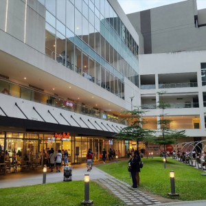 [세부] 사파리 데이 & 체크아웃 투어