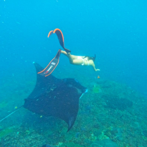 (한국어가이드) 발리 누사페니다 섬 스노클링 투어