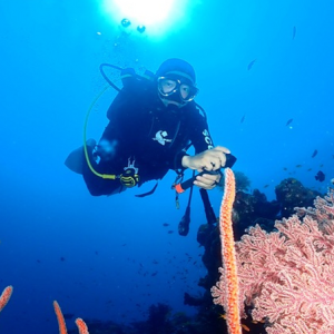 [세부 액티비티 & 데이투어] 스킨 스쿠버 다이빙 - 체험다이빙 (교육+강습+실습/체험+수중 촬영)