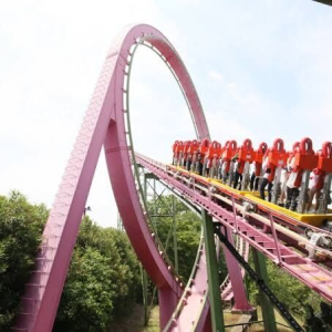  [도쿄][도쿄 디즈니랜드·디즈니씨] 단독 차량 픽업 & 샌딩 – 편안하고 안전한 이동! 