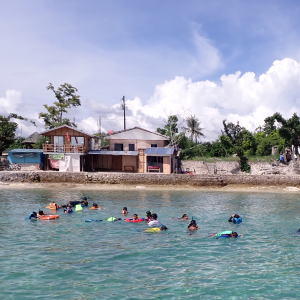 [세부] 모알보알 & 만타유판 폭포 단독투어 (거북이 & 정어리떼 스노클링)
