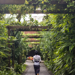 [발리] 창구 지역 왕복 호텔 픽업 포함 바디 만트라 웰니스 스파 짱구