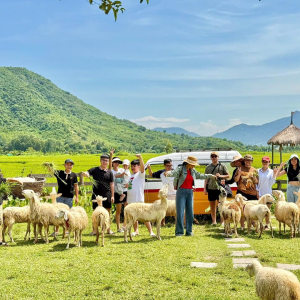 (한국어가이드) 판랑 사막 지프 차량 + 양 농장 단독 투어 / 나트랑 출발