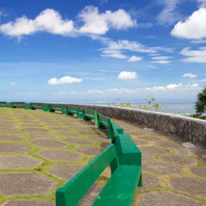 [단독투어] 세부 탑스(정상) 인스타그램 시티투어 - 시라오가든, 탑스힐, 레아신전