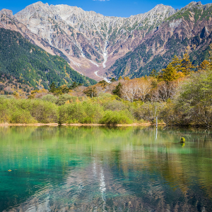 [영어가이드] 다테야마 구로베 알펜루트· 유키노오타니 1박2일 투어