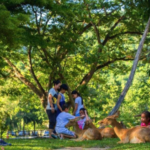 (방콕출발) 파타야 카오키여우 오픈주 반일 단독 투어