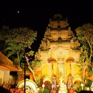 [발리] 우붓 하일라이트 투어(우붓 - 뜨갈랄랑 계단식논 - 마스 쯔록 마을)