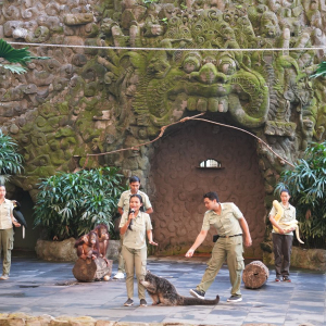 발리 사파리 + 짐바란 데이투어