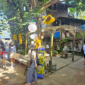 (한국어가이드) 치앙마이 반캉왓 + 엘리핀 팜 단독 투어