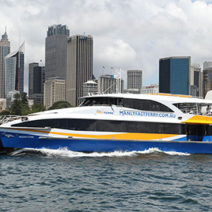 [시드니] 시드니 빅버스 티켓