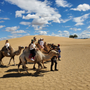몽골 테를지 + 아르항가이 미니 고비사막 2박 3일 단독 투어