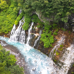 [🍤준페이매장식사🍤][매일출발♥️]북해도 비에이 후라노 삿포로 버스투어 [라쿠투어]