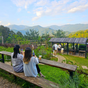 (한국어가이드) 치앙마이 반캉왓 + 엘리핀 팜 단독 투어