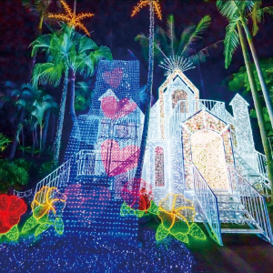 [오키나와] 동남식물낙원 야간권