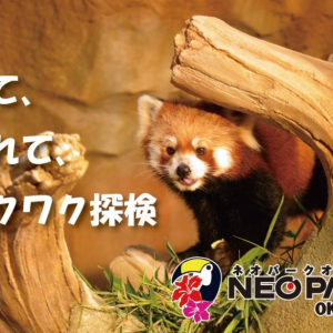 [오키나와]  오키나와 츄라우미 토쿠토쿠 5패스