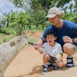[오키나와]오키나와 동남식물낙원 1DAY 패스 (주간+야간)