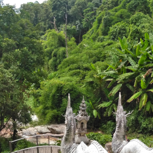 [치앙마이] 도이수텝 트레킹 투어