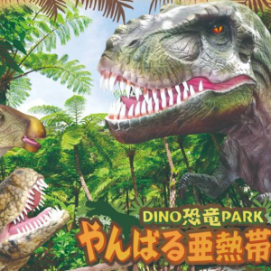 [오키나와]  오키나와 츄라우미 토쿠토쿠 5패스