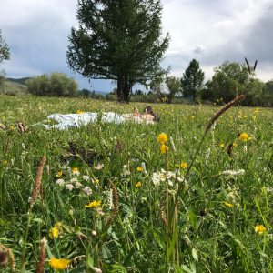 [몽골]5박6일 중부 투어