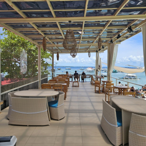 [세부]  정어리떼 스노클링