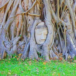 아유타야 반일 단독 투어 / 방콕 출발