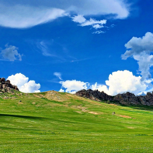 (한국어가이드) 몽골 테를지 국립공원 단독 투어