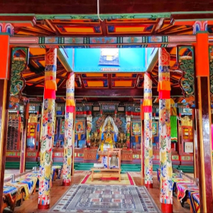 (한국어가이드) 몽골 테를지 국립공원 조인 투어