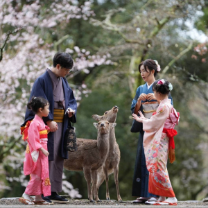 [교토]교토 기모노 대여 체험, 럭셔리 수제 실크 후리소데 