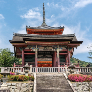 [나라/교토][OPEN] 오사카 출발 나라 교토 1일 버스투어 동대사 사슴공원 아라시야마 청수사 (라쿠투어)