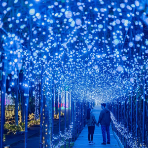 [오키나와] 동남식물낙원 야간권