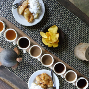 발리 커피 농장 + 우붓 데이투어