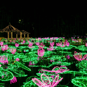 [오키나와] 동남식물낙원 야간권