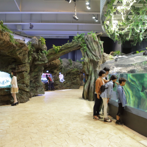 [도쿄]맥셀 아쿠아파크 시나가와