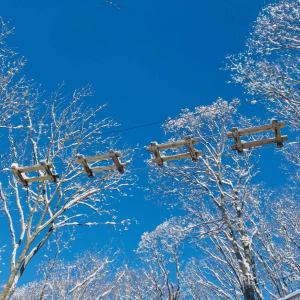 [홋카이도] 포레스트 어드벤처 에니와 체험권 (짚트립 투어)