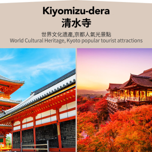 [한국어가이드] 교토 & 나라 일일 버스 투어 