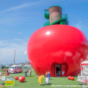 [아와지] 헬로키티 스마일 + 헬로키티 애플하우스 공통입장권