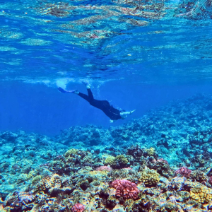 [사이판] 이스트베이 스노클링&프리다이빙 투어