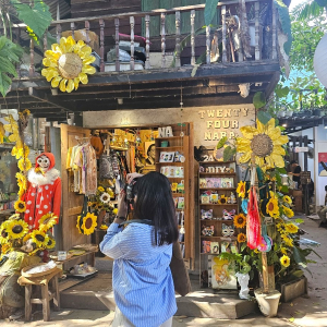 (한국어가이드) 치앙마이 반캉왓 + 엘리핀 팜 단독 투어