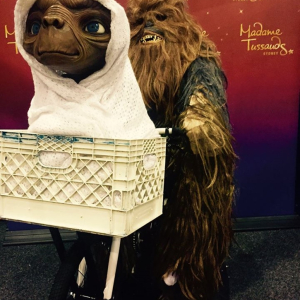 [시드니] 마담투소 시드니