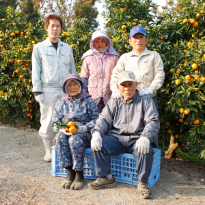 [사가] 타지마 감귤원(간키츠엔) 생과일주스 10가지 음료권 +  과일 짜기 체험